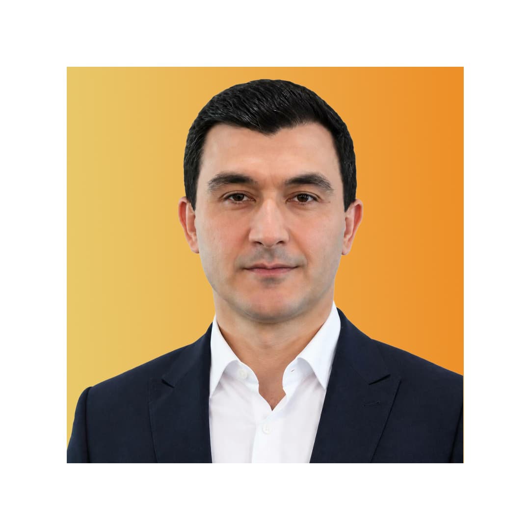مهدی محمودی