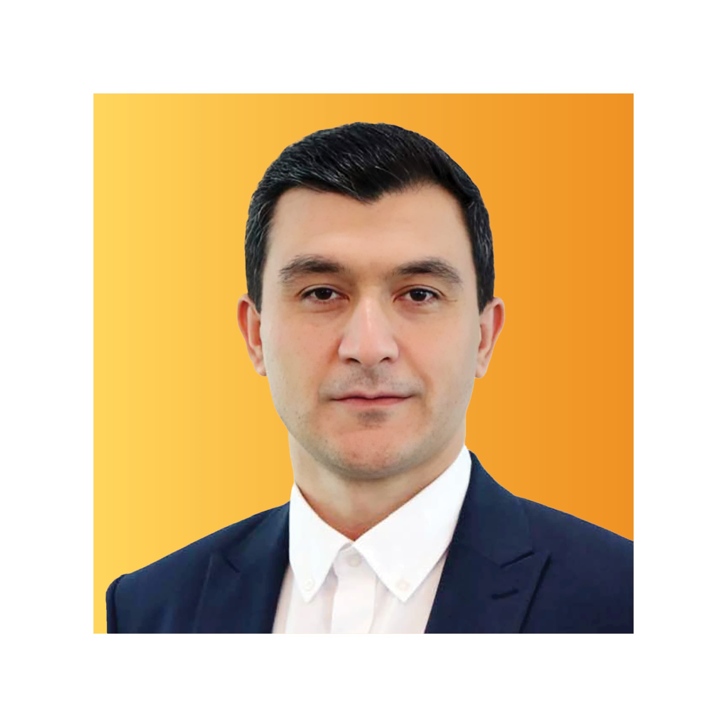 مهدی محمودی