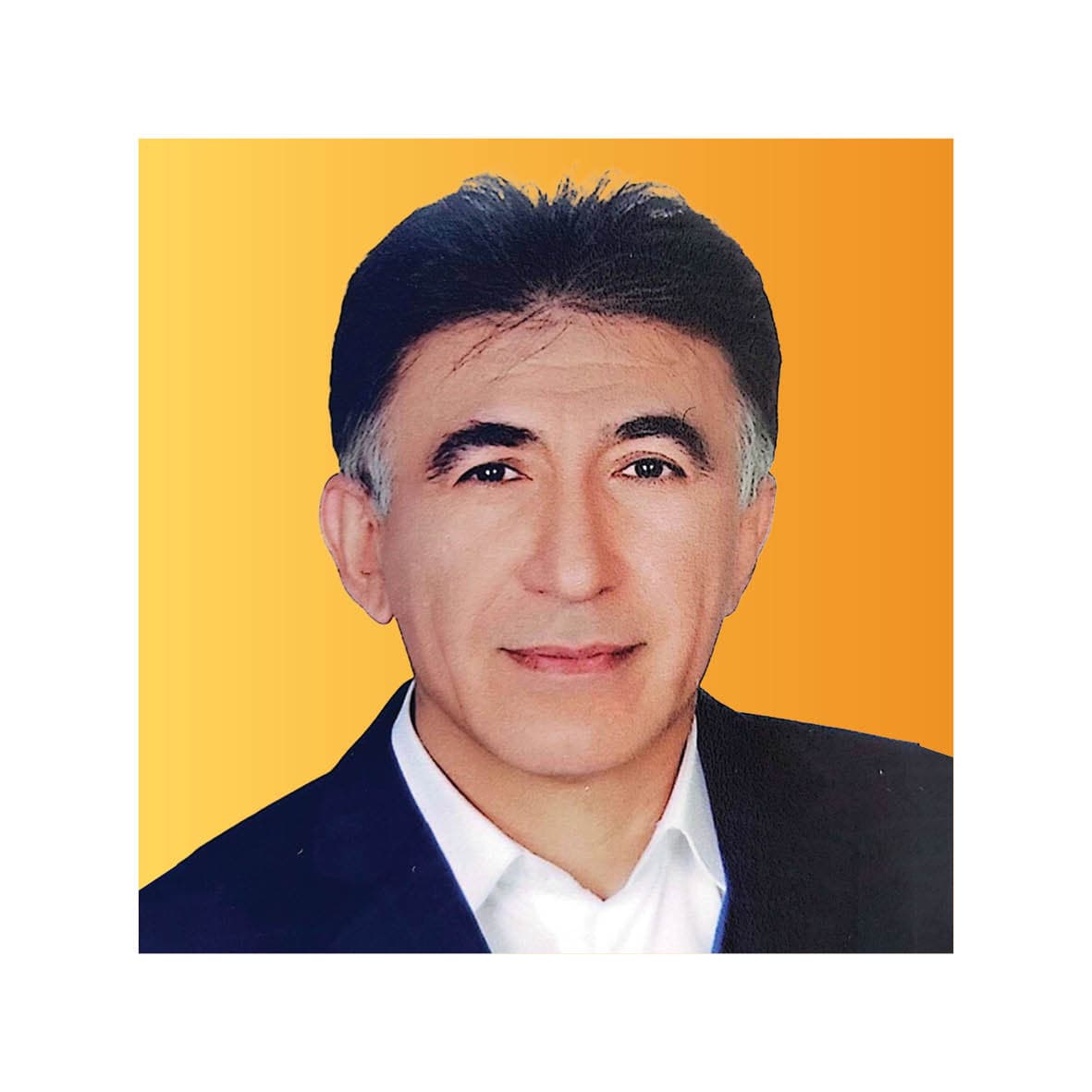 علی شیخی